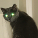 eric ketchum - @ericketchum2 - Twitter