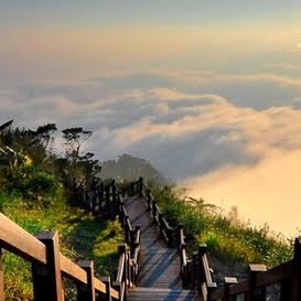 Ali_rmznnn's profile picture. 