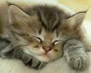 edgoff's profile picture. I am a retired Cisco Networking instructor living in Florida.