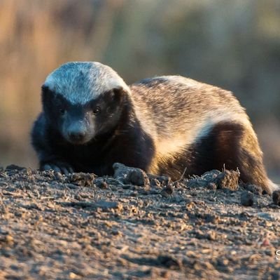 Ndyanabo____jr's profile picture. Usisubiri idhini yao sio kila mmoja ataelewa maono yako (don't wait for their Approval not Everyone Will understand you vision)