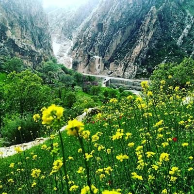 به جمهوری اسلامی ایران گفته ایم آری🇮🇷
به هرچه غیر جمهوری اسلامی ایران نه🇮🇷