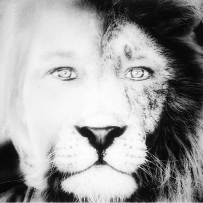 It's hard to beat a person who never gives up - Babe Ruth.
Auburn Tigers, Titans, Preds and Texas Holdem' when I'm bored