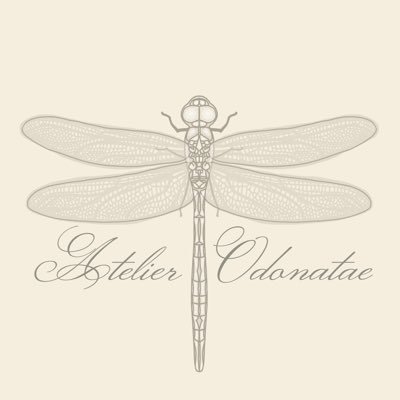 montreal based atelier creating enchanting still life styling and product photography for your beloved creations.