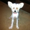 Justin Weidner - @justinweidner - Twitter