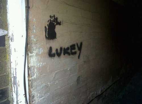 1cwudjehgebehjd's profile picture. 