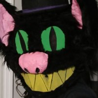 Candy Jack(@candyjackcat) 's Twitter Profile Photo