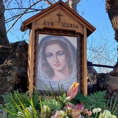 Perfil oficial | La Virgen eligió en 1981 Prado Nuevo para revelar su mensaje a Luz Amparo Cuevas. Es lugar de peregrinación y oración. #TierradeBendiciones.