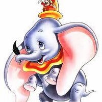 Dumbo Butterfly (@dumbobutterfly) 's Twitter Profile