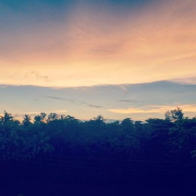 mr__techie's profile picture. Trust the process...