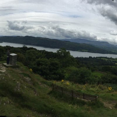 DavidWi67392208's profile picture. 