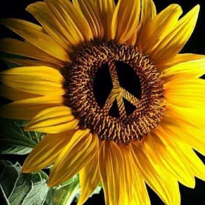 vtoldmeto's profile picture. Photographer

https://t.co/SPFXIvJ4jH