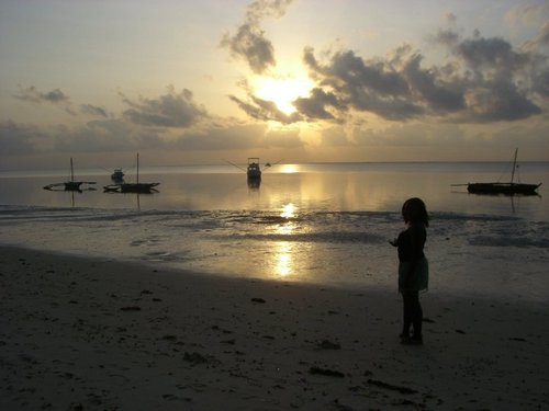 VoyageSafaris's profile picture. 