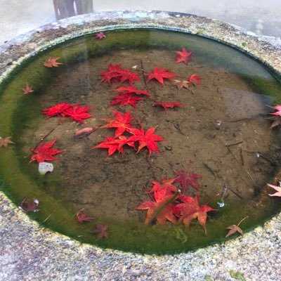 気ままにツイートします