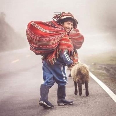 Shiraze01's profile picture. 