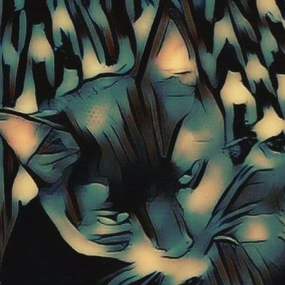 USAF Veteran, Everything Cryptocurrency and NFT related/Not Financial Advice/Nft Giveaways