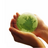 SustainOnline's profile image