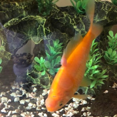 maliburonny's profile picture. 