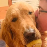 Ninja Red Doggo (@dumbreddoge) 's Twitter Profile