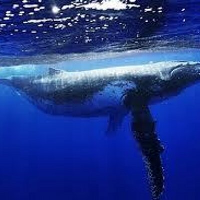 takumi2012's profile image