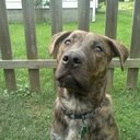 Marcy Serrano - @zeekmax - Twitter