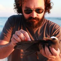 Luke Smillie (@drsmillie) 's Twitter Profile Photo