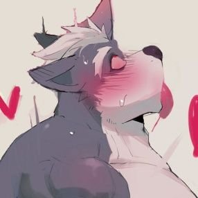 ⚠️Wolf'O'Donnel⚠️さんのプロフィール画像