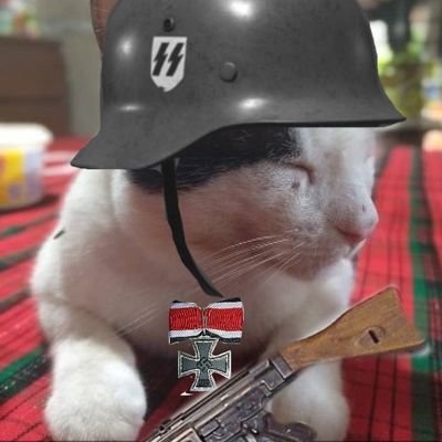 J75782187's profile picture. Me gusta el anime, La segunda guerra mundial, los vehículos blindados, Warhammer 40K y un poco de todo.

subiré uno que otro dibujito.