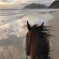 Roby.. (@ro0oby2017) Twitter profile photo