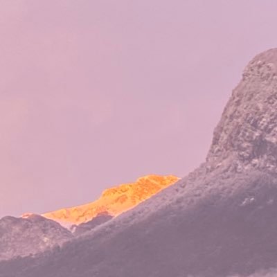 SandrineBaude's profile picture. 