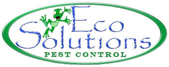 EcoSolutions's profile picture. 