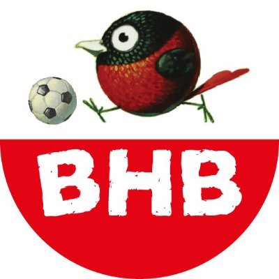 Hi! I am Rrubie, a Rigogolus that loves Soccer. I will be performing for you in an amazing collection of hand painted NFTs.
#NFT #NFTArt #footballCollectibles