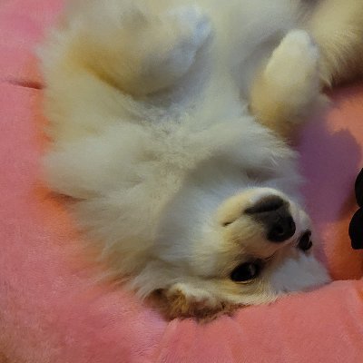 リエルさんのプロフィール画像