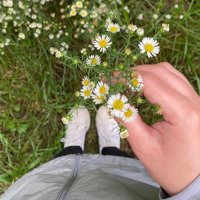 بشـايـر (@angelbashayer) Twitter profile photo