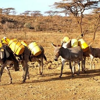 AlliMonsieur's profile picture. Imana Iguhuzagire cane