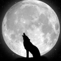 Max ***** *** (@max49964589) 's Twitter Profile