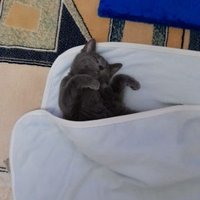 MURAT GÜNDÜZ (@muratgn24575743) 's Twitter Profile
