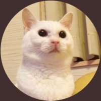 TiNa🐈ぴんくたち🩷 (@stnr319) 's Twitter Profile