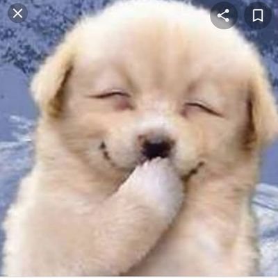 jSBrcCC5TIJk4Zh's profile picture. 