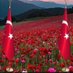 İsmail. Kara 1977 (@smailes08812295) Twitter profile photo İsmail. Kara 1977 (@smailes08812295) Twitter profile photo