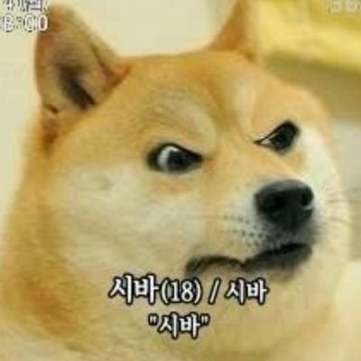 Sibal__Bot's profile picture. 바른말 고운말 쓰는 여러분을 응원해요!