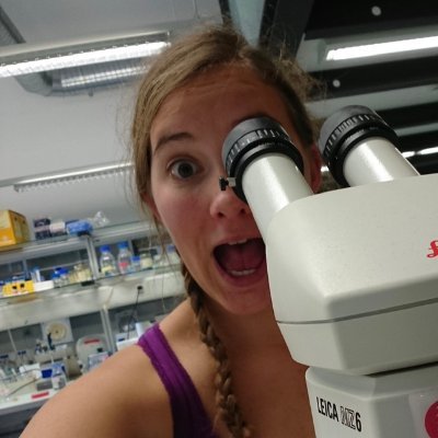 PhD in Evo-Neuro 👩🔬🇨🇭🇫🇷| Cnidarian enthusiast
Studying behaviour of (weird) brainless animals 🌊🧬🧪🔬🧠⁉️