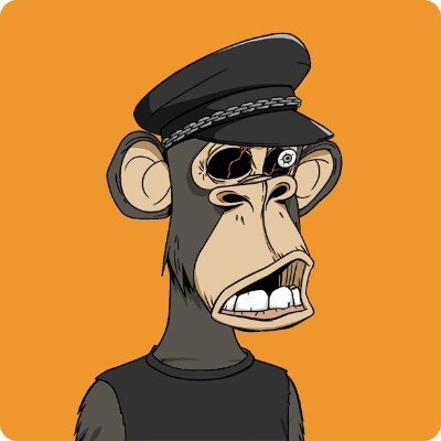 Crypto hodler and #NFTcollector / #BAYC #6467 / #MAYC #22934 & #22935