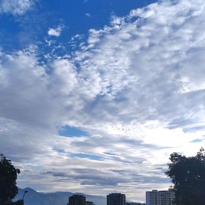 Alfgda1's profile picture. Restaurador de muebles,
fabrico juguetes.