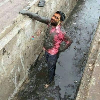 massimoraza5's profile picture. 