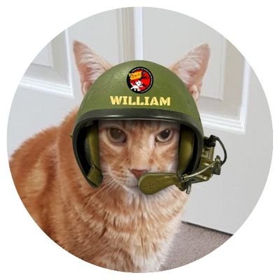 Just a ginger rescue cat with a few anger management issues.And now a proud member of #ZSHQ #hamclub  #TheAviators  #CoolCatsClub #TheRuffRIDERZ #ECC