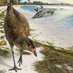 Field Palaeobiology Research Group (@fieldpalaeo) Twitter profile photo Field Palaeobiology Research Group (@fieldpalaeo) Twitter profile photo