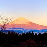 三密 (@po1_si) Twitter profile photo