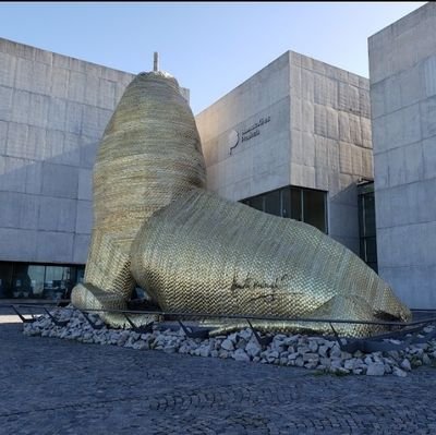 centralsystem1's profile picture. @p_justicialista @lacampora @CGTArgOficial  ETERNOS ANTIARGENTINA 🇦🇷