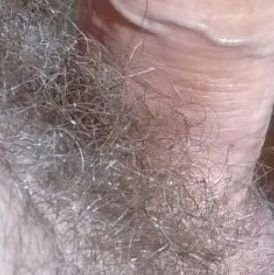 graygraze's profile picture. 