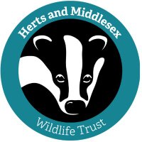 Herts & Middlesex Wildlife Trust(@HMWTBadger) 's Twitter Profile Photo